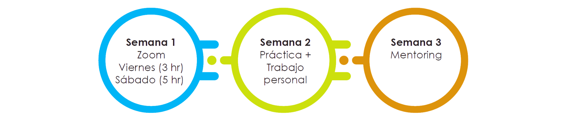 Mapa del Proceso - Certificación de Coaching ACTP